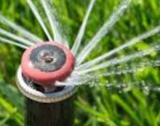 Watering Your Lawn Perfectly by Using these 7 Tips